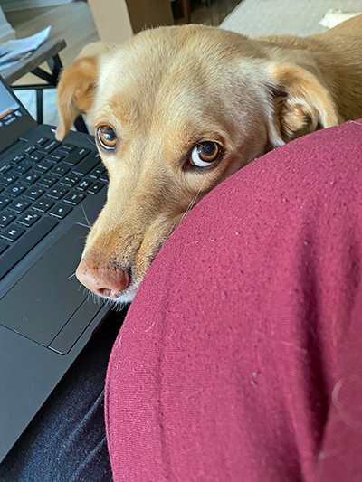 [Emmie watches her mom write this blog]