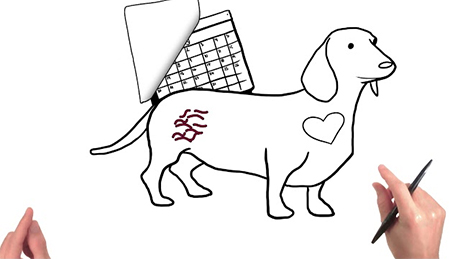 Screen capture from video about heartworm prevention