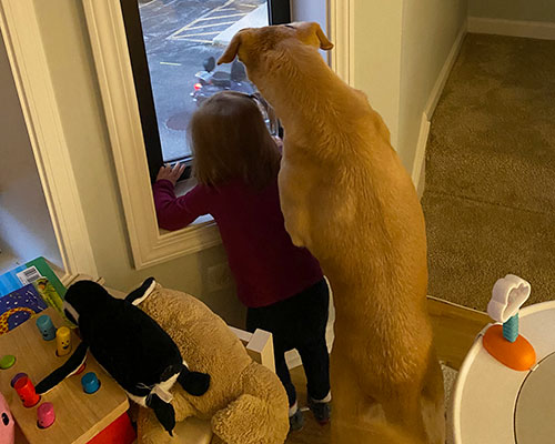 Dr. Kritzman's toddler daughter and dog Emmie look out the window.