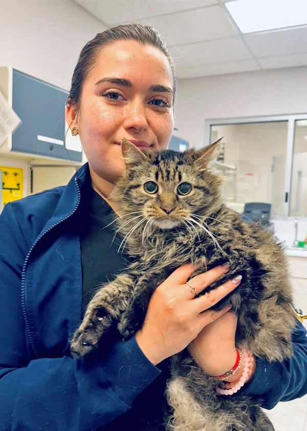 Dr. Calderón holding a Maine coon cat