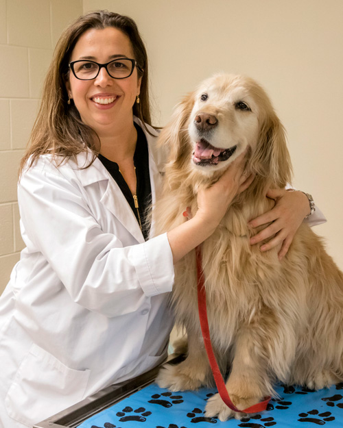 Dr. Clarissa Souza
