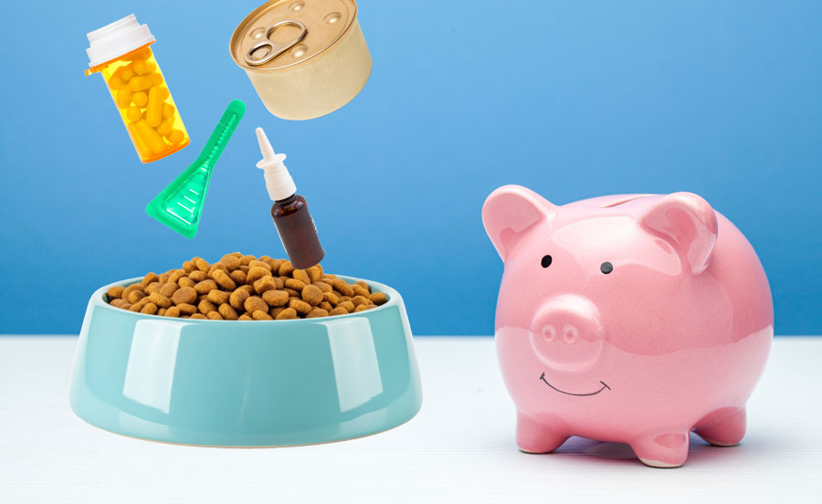 piggy bank with pet food and medications