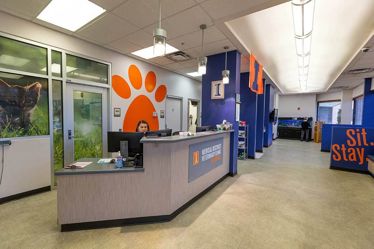 Our Lobby and Waiting Room
