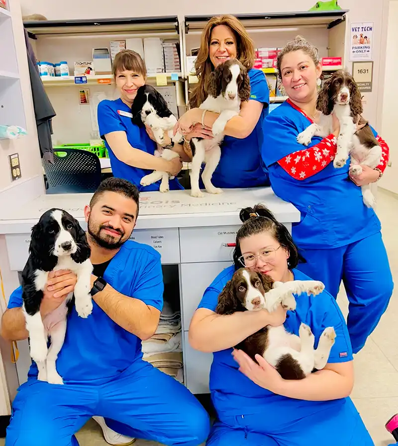 The staff of the Medical District Veterinary Clinic with puppies