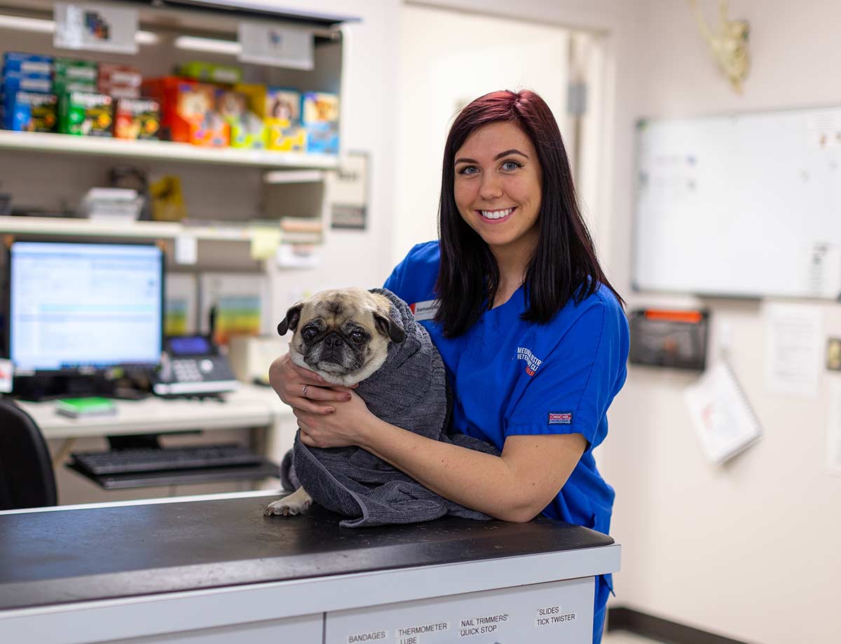 One of our vet techs caring for a dog
