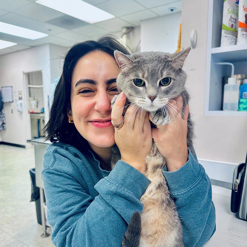 One of our vet techs caring for a cat